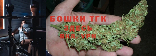 ALPHA PVP Новозыбков