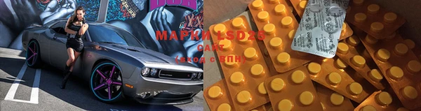 гашик Новодвинск