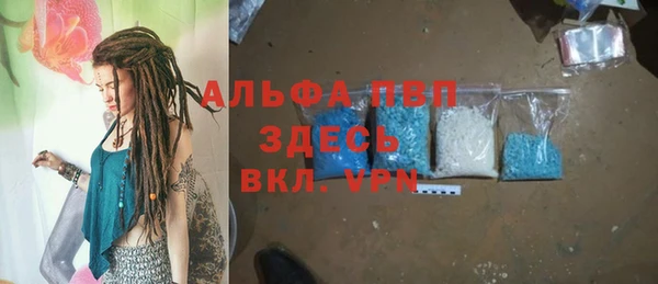 гашик Новодвинск