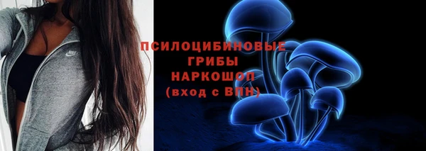 гашик Новодвинск