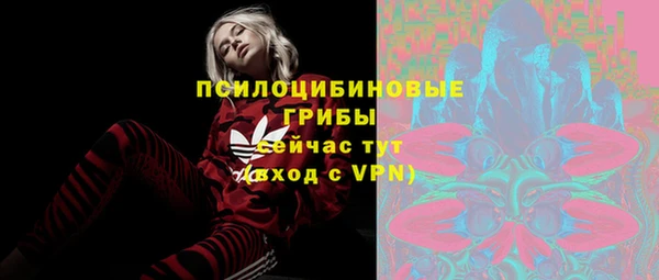 ALPHA PVP Новозыбков