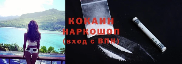 гашик Новодвинск