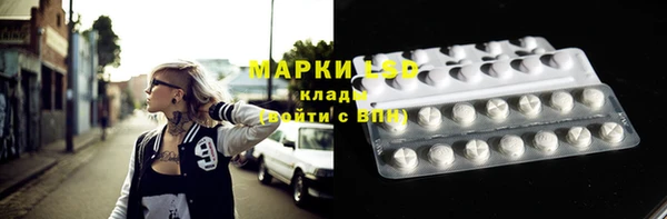 гашик Новодвинск