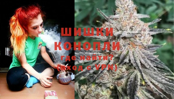 ALPHA PVP Новозыбков