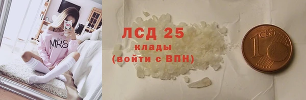 гашик Новодвинск