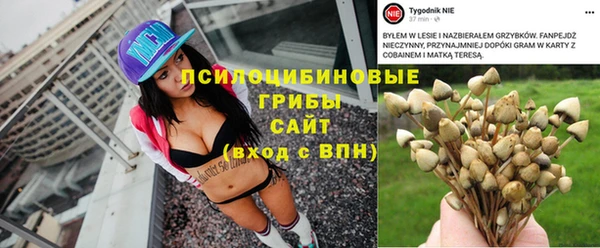 гашик Новодвинск