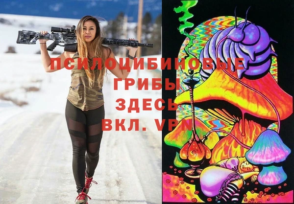 ALPHA PVP Новозыбков