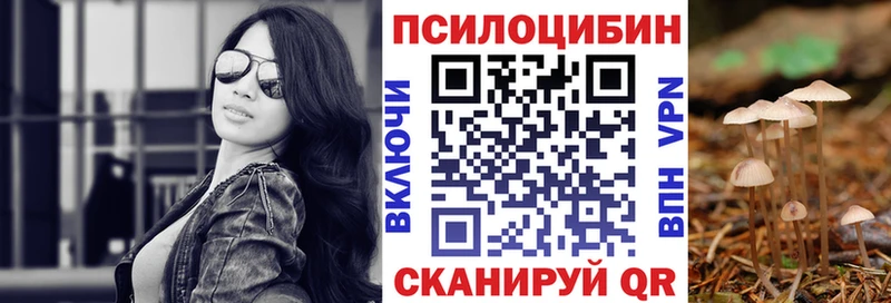 МЕГА онион  Шиханы  Псилоцибиновые грибы Magic Shrooms  купить  